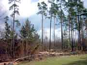 �� ���������� ������ ������� ��� �����